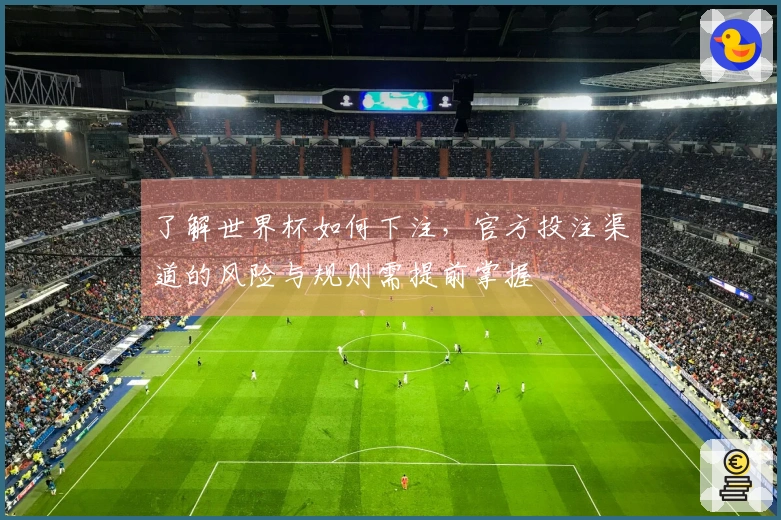 了解世界杯如何下注，官方投注渠道的风险与规则需提前掌握