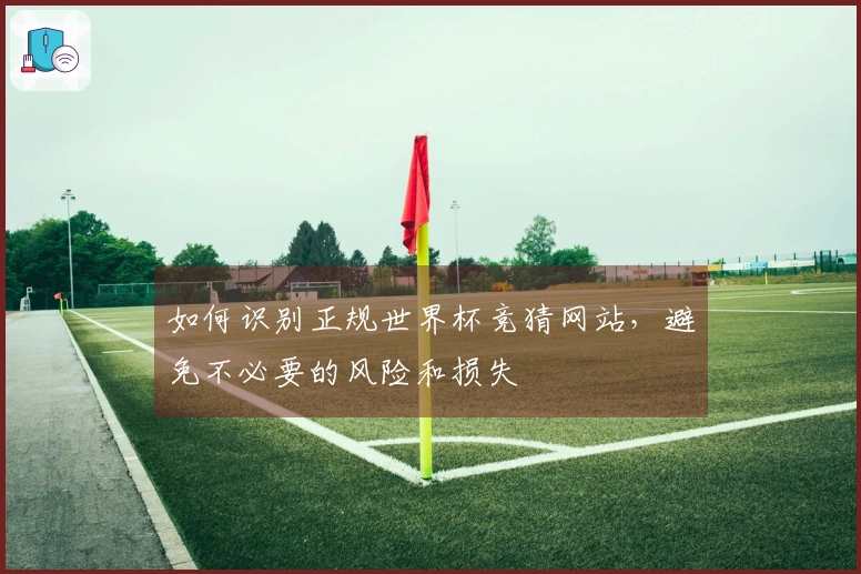 如何识别正规世界杯竞猜网站，避免不必要的风险和损失