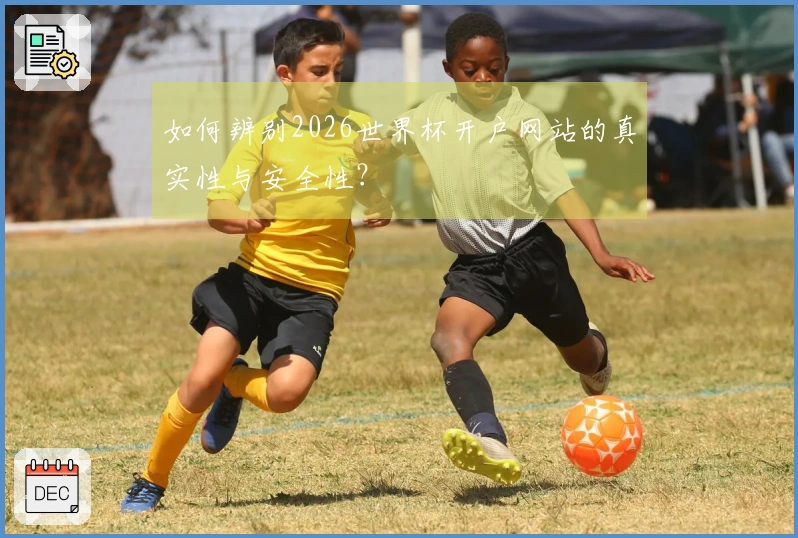 如何辨别2026世界杯开户网站的真实性与安全性?