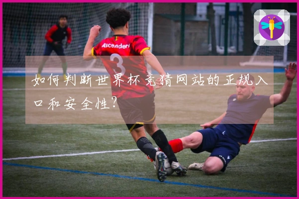 如何判断世界杯竞猜网站的正规入口和安全性？