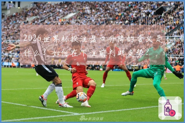 2026世界杯投注盘口升降的含义是什么？如何在下注前判断走势？
