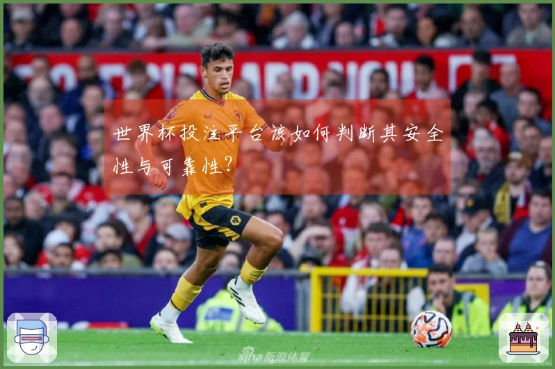世界杯投注平台该如何判断其安全性与可靠性？