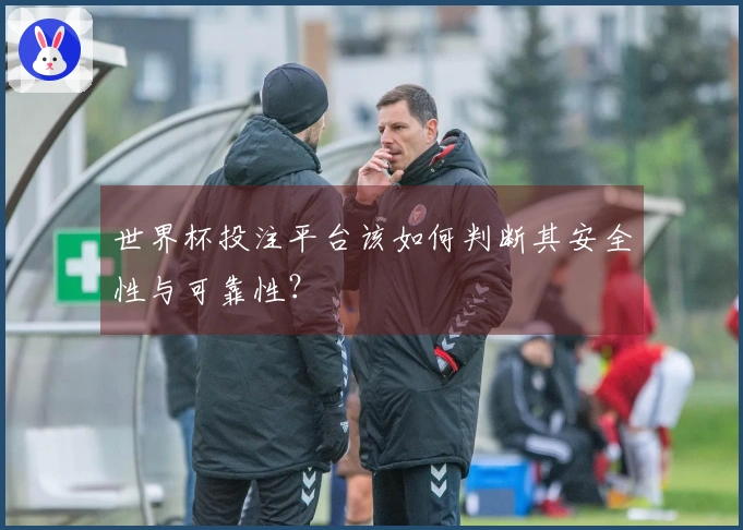 世界杯投注平台该如何判断其安全性与可靠性？