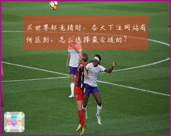 买世界杯竞猜时，各大下注网站有何区别，怎么选择最合适的？