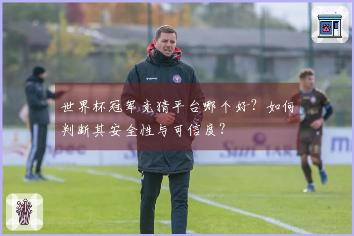 世界杯冠军竞猜平台哪个好？如何判断其安全性与可信度？