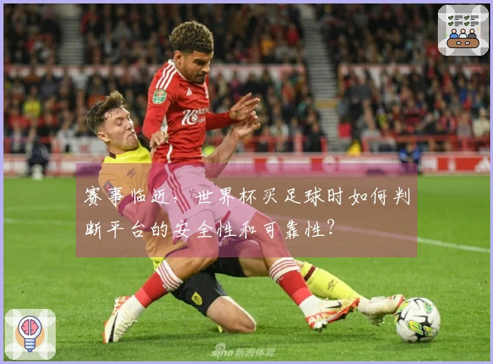赛事临近，世界杯买足球时如何判断平台的安全性和可靠性？