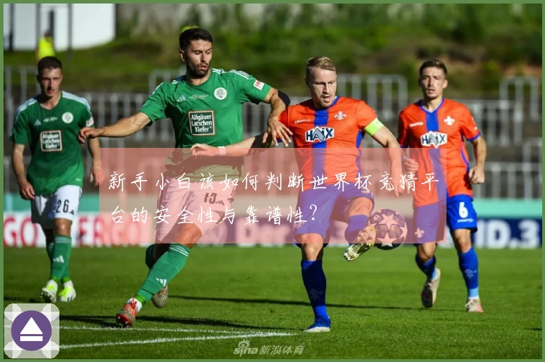 新手小白该如何判断世界杯竞猜平台的安全性与靠谱性？