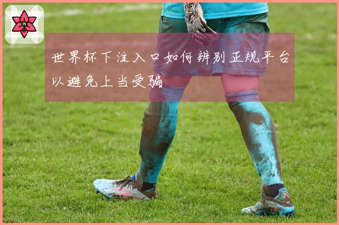世界杯下注入口如何辨别正规平台以避免上当受骗