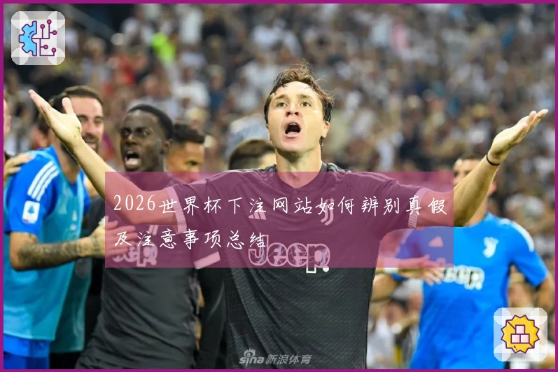 2026世界杯下注网站如何辨别真假及注意事项总结