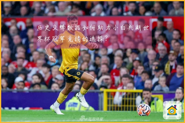 历史交锋数据如何助力小白判断世界杯冠军竞猜的选择？