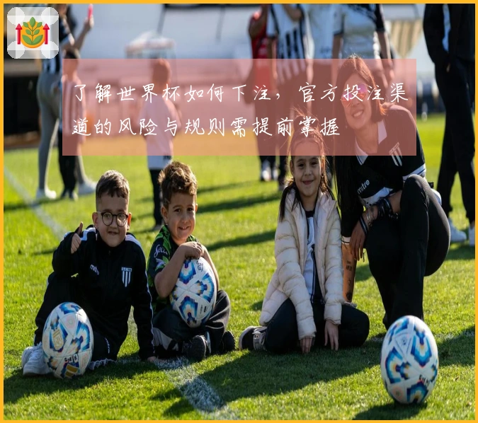 了解世界杯如何下注,官方投注渠道的风险与规则需提前掌握