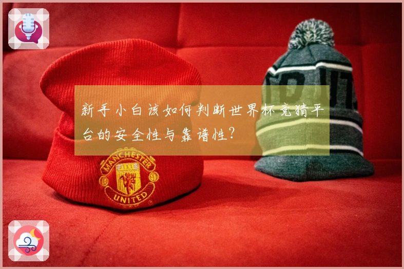 新手小白该如何判断世界杯竞猜平台的安全性与靠谱性？
