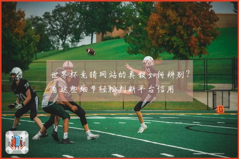 世界杯竞猜网站的真假如何辨别？看这些细节轻松判断平台信用