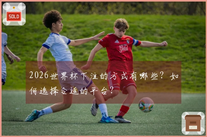 2026世界杯下注的方式有哪些？如何选择合适的平台？