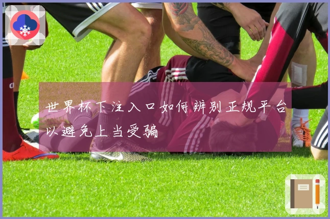 世界杯下注入口如何辨别正规平台以避免上当受骗