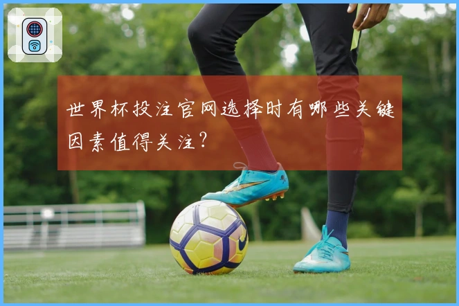 世界杯投注官网选择时有哪些关键因素值得关注？