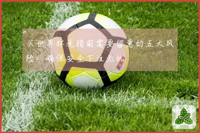 买世界杯竞猜前需要留意的五大风险，确保安全下注无忧