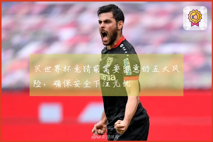买世界杯竞猜前需要留意的五大风险,确保安全下注无忧