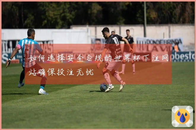 如何选择安全合规的世界杯下注网站确保投注无忧