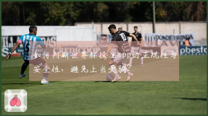 如何判断世界杯投注app的正规性与安全性，避免上当受骗？