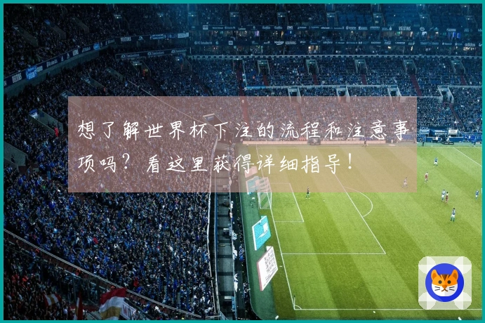 想了解世界杯下注的流程和注意事项吗？看这里获得详细指导！