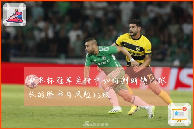 世界杯冠军竞猜中如何判断热门球队的胜率与风险比较