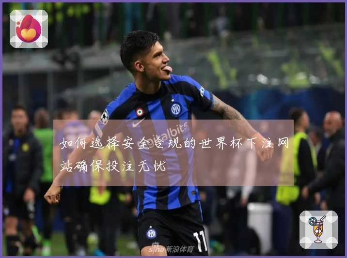 如何选择安全合规的世界杯下注网站确保投注无忧