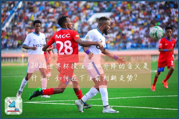 2026世界杯投注盘口升降的含义是什么？如何在下注前判断走势？