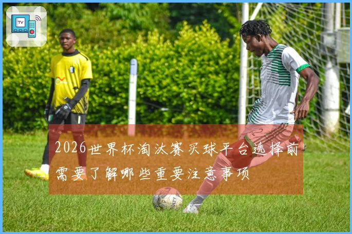 2026世界杯淘汰赛买球平台选择前需要了解哪些重要注意事项