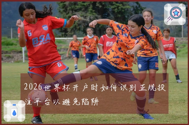 2026世界杯开户时如何识别正规投注平台以避免陷阱
