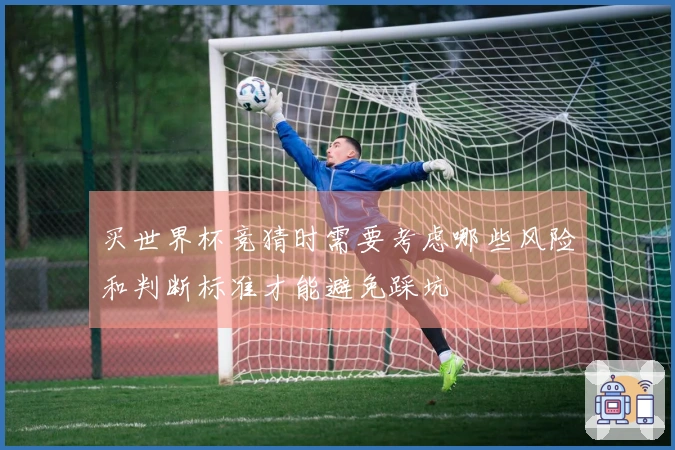 买世界杯竞猜时需要考虑哪些风险和判断标准才能避免踩坑
