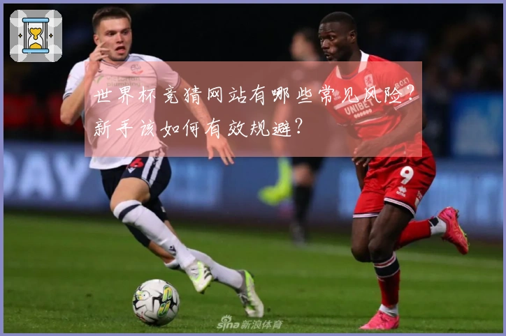 世界杯竞猜网站有哪些常见风险？新手该如何有效规避？