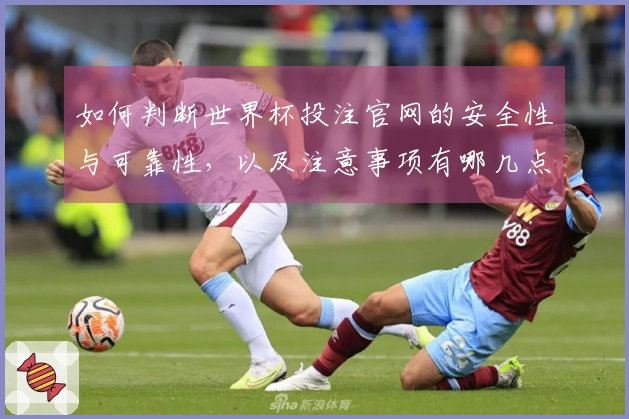 如何判断世界杯投注官网的安全性与可靠性,以及注意事项有哪几点-